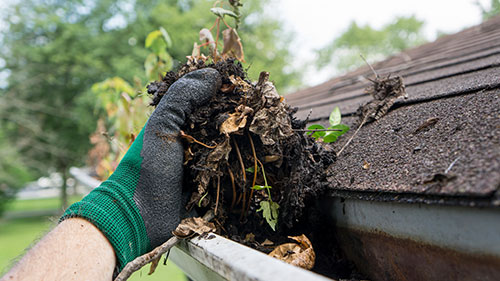 gutter cleaning